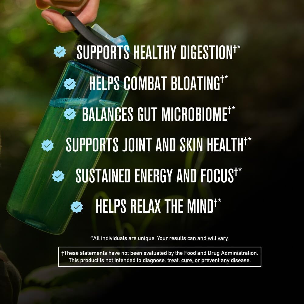 ROUNDHOUSE PROVISION Morning Kick, Zero Sugar Greens Superfood Powder Supplement with Ashwagandha, Collagen, Probiotics, Debloat Drink, 30 Servings (Strawberry Lemonade) by Chuck Norris
